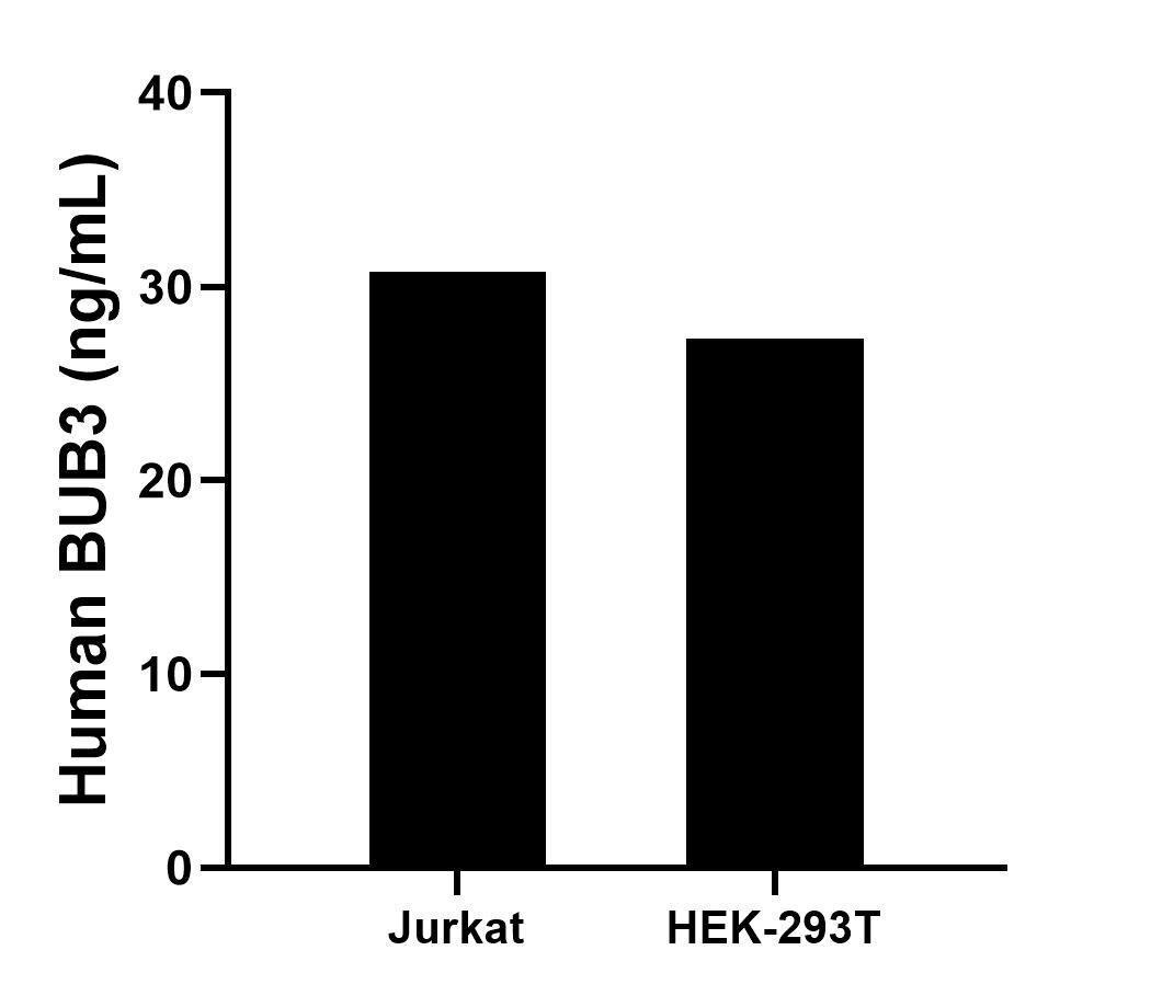 Sample test of MP00297-3